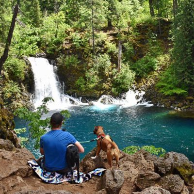 man with dogs sitting by waterfall on towel